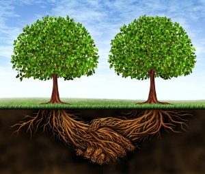 Read more about the article How deep are the roots of your network?